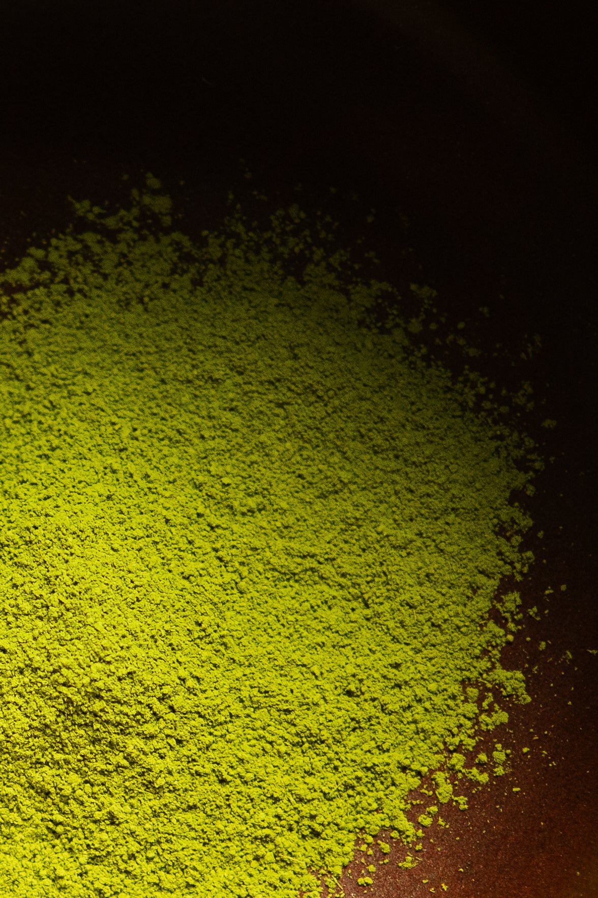 Norm x True Tea Matcha